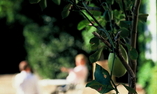 Ch�teau de Varenne - Languedoc - Roussillon - Sauveterre