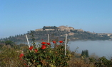 Sant Antonio Country resort - Tuscany - Montepulciano