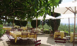 Hostellerie Ch�teau des Fines Roches - Provence Alpes C�te d'Azur - Ch�teauneuf-du-Pape