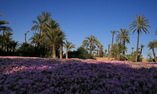 Ksar Char-Bagh - Marrakech e dintorni - Marrakech
