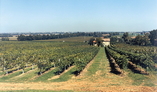 Hotel Posta, �milie-Romagne, Reggio d'�milie
