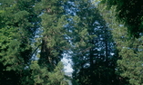 Ch�teau d'Ayres - Languedoc - Roussillon - Meyrueis