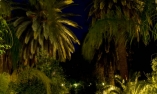 Palais Sh�h�razade - Fes - Fes
