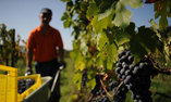 Tenuta La Ghiaia - Ligurien - Sarzana
