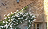 Relais Sant' Elena - Toscana - Bibbona