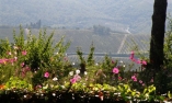 Villa Le Barone - Toscane - Panzano in Chianti