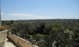 Tenuta Cammarana - Sicilia - Ragusa