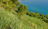 Hotel Fortino Napoleonico, Marche, Ancona