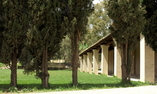 Gigliotto Agriturismo, Sicily, Piazza Armerina