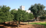 Masseria Salamina, Apulia, Fasano