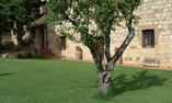 Sant Antonio Country resort - Tuscany - Montepulciano