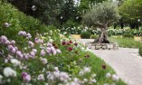 Resort e Spa San Crispino, Umbria, Assisi