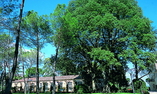 Alla Posta dei Donini & Spa - Umbria - Perugia