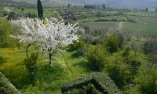 Villa Le Barone - Toscane - Panzano in Chianti