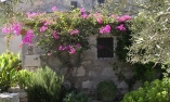 Tenuta Cammarana - Sicilia - Ragusa