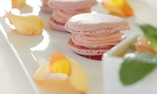 Ch�teau d'Artigny - Loiretal der Schl�sser - Montbazon