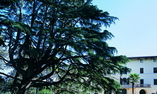 Alla Posta dei Donini & Spa - Umbria - Perugia