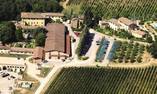 Villa Dievole, Tuscany, Castelnuovo Berardenga