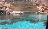 La Calandra - Sicilia - Lampedusa Isola