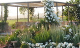 Relais Sant' Elena - Toscana - Bibbona