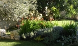 Tenuta Cammarana - Sicilia - Ragusa
