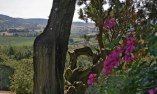 Villa Poggiano - Toscana - Montepulciano