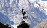 Auberge de La Maison, Aosta Valley, Courmayeur