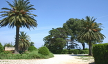 Masseria Salamina, Apulia, Fasano