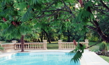 Domaine de Ch�teau de Garrevaques - Midi-Pirenei - Garrevaques