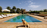 Tsar Masa - Marrakech y Alrededores - Marrakech
