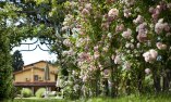 Resort e Spa San Crispino, Umbria, Assisi