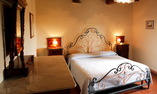 Fattoria Castelvecchi - Toscane - Radda in Chianti
