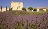 Domaine de Capelongue - Provence-Alpes-C�te d'Azur - Bonnieux