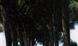 Villa Rodogallo, Apulien, Sannicola