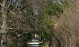 La Marazzana, Marches, Senigallia