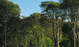 Dromoland Castle, Shannon Region, Newmarket-on-Fergus