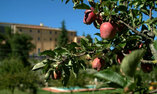 Badia alle Grazie Country Resort, Umbria, Foce di Amelia