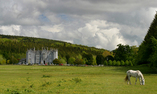 Kinnitty Castle - The Midlands - Birr