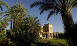 Tsar Masa, Marrakech, Marrakech