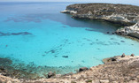 La Calandra - Sicilia - Lampedusa Isola