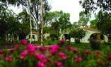 Is Morus Relais, Sardegna, Pula