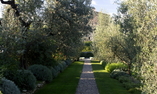 Castello di Vicarello, Toscana, Cinigiano