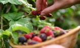Lainston House Hotel - S�dostengland - Winchester