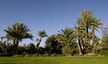 Tsar Masa - Marrakech y Alrededores - Marrakech