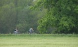 Soncna Hisa - Prekmurje - Ver�ej