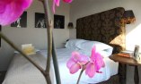 Hotel V - Andalusia - Vejer de la Frontera