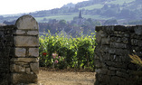 Ch�teau H�tel Andr� Ziltener - Burgundy - Chambolle-Musigny