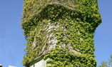 Ballyseede Castle - Le Sud-Ouest de l'Irlande - Tralee