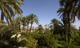 Tsar Masa - Marrakech y Alrededores - Marrakech