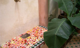 Riad Tawargit - Marrakech et environs - Marrakech